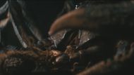 Deathclaw (Screenshot from YouTube/@Prime Video)